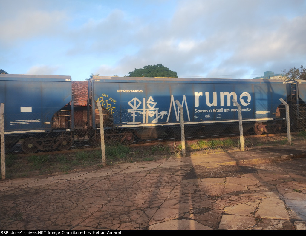 RUMO HTT-351445-5